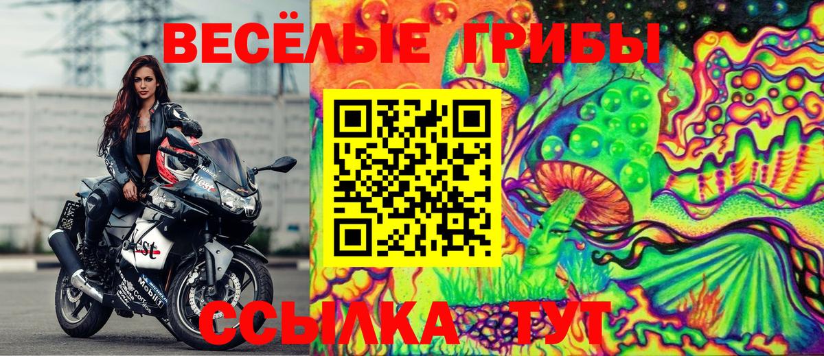 Алексеевка  где купить наркотик  Вход с VPN  Псилоцибиновые грибы Magic Shrooms 